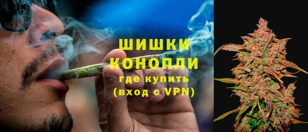 трава Козловка