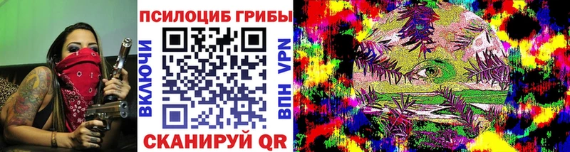 Псилоцибиновые грибы Psilocybine cubensis  Купить где  Ачинск 